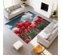 Générique Durable Tapis Nature Floral Douces Tapiss Style champêtre Ne Perd Pas Ses Poils Tulipe Rouge Ciel Bleu Tapis 60 x 90 cm Couloir Entrée