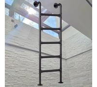 Générique Échelle de Secours d'entrée, échelle de Secours Robuste de 100 à 300 cm pour Grenier de Camping-Car extérieur, échelle latérale Multifonction en métal Noir - Taille Personnalisable