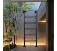 Générique Échelle Murale de sécurité pour Grenier, escabeau de sécurité pour fenêtre de sous-Sol, échelle d'escalade en Fer forgé pour Camping-Cars, Appartements, terrasses extérieures - Cha