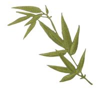 Générique Écusson Thermocollant Brodé Feuille de Bambou Motif Chinois, Patch Décoratif Autocollant pour Vêtements et Accessoires, Fournitures Couture Diy, Élégant Patch Textile pour Paquet