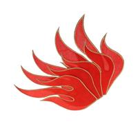 Générique Écussons Thermocollants Feu et Flammes Lot de 5 Brodés pour Décoration Chaussures Vestes et Accessoires de Scène