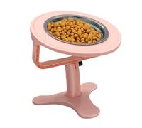 Générique Elevated Cat Bowls - Non Slip Raised Pet Dishes, Tilted Neck Protection Stand with Slow Feeder Inserts, High Grade Ceramic, Ideal for Preventing Vomiting in Dogs Cats Workplace