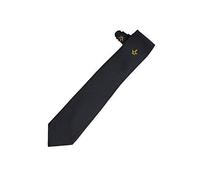 Générique Emblème Maçonnique Cravate Soie avec or Machine Broderie Place Compas Logo