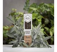 Générique - Encens Naturel Sauge Blanche et Oliban - 100% Écologique - Fait Main en Argentine - Purification et Protection Spirituelle - 9 Bâtons