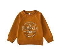 Générique Enfant en Bas âge bébé Halloween Tenue garçon Fille Citrouille Sweat col Rond Pull Pull à Manches Longues Chemise Automne vêtements (Brown, 2-3 Years)