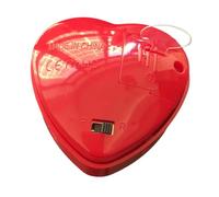 Générique Enregistreur Vocal pour Animal en Peluche | Accessoires pour Poupées Peluches - Insert Enregistrable,pour Adolescents Adultes Jeu Maison Salon Chambre Anniversaire Fête