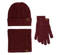 Générique Ensemble Bonnet Ski En Tricot Femme Écharpe Gants Cache-Oreilles Bas Hiver Avec Doublure Polaire Cosy Écharpe Chauffante Tour De Cou Adulte Foulard Bordeaux (Vin,Taille unique)