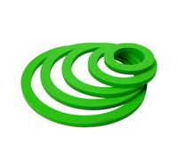 Générique Ensemble de Butées Anti-Herbes pour Aquariums, Accessoires pour Terrariums à, 5 Tailles, Vert