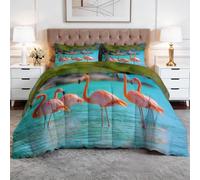 Générique Ensemble de Couette Douce sans Housse Tropical Rêveur Animaux Flamant Rose Nature pour Femmes Adultes, Légère Réversible 4 Saisons avec 2 Taies d'oreiller, 200 x 220 cm, Bleu Canard