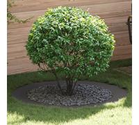 Générique Ensemble de Jardinières Noires Noir Plastique Grand Durable,Maison & Jardin,Pelouses & Jardins,Jardinage,Pots & Cache-Pots,Noir,12.5 KG,873719