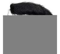 Générique Ensemble de mascarade et de queue d'animaux, ensemble de cosplay d'animaux pour filles - Ensemble de queue d’animal - Couvre-visage d'animal à moitié poilu pour une fête de rassemblement