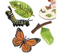 Générique Ensemble De Modèles De Cycle De Vie des Insectes - Figurines D'étapes De Croissance Simulées | Jouets Éducatifs pour, Luna Moth Papillon Tortue Ouvrière Grenouille Sculptures
