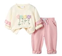 Générique Ensemble Enfant Fille 6 Mois-4 Ans Quatre Saisons Costume Enfant Fille Mignon Cchic StéRéO Fleurs DéContracté Costume Pantalon à Manches Longues Volants Hauts Ample Confortable (2-3 Ans)