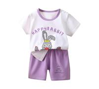 Générique Ensemble Pyjama Fille Deux pièces Manches Courtes Confortable vêtement Enfant bébé 0-6 Ans vêtement Maison Quotidien été Printemps Automne (Purple, 5-6 Years)