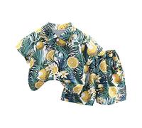 Générique Ensemble Tout-Petits Garçons Ete 6 Mois-5 Ans Imprimé Floral Chemise Manches Courtes avec Short Coton Ensemble Hawaï pour Garçon Chic Tenue de Plage (Green, 2-3 Years)