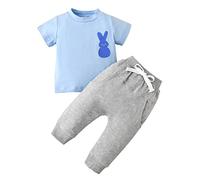 Générique Ensembles BéBé GarçOn Nouveau né Infantile bébé garçons Coton imprimé Automne Lapin de pâques Manches Courtes Hauts t Shirt Pantalon Ensemble Tenues vêtements (Blue, 18-24 Months)