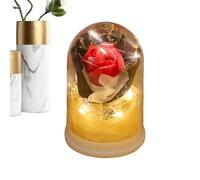 Générique Eternal Rose Bouquet, Preserved Flower Dome, Romantic Gift Decor with LED Light, Glass Cover Display with Fabric Build, Floral Home Ornament with Elegant Style, Rose Gift for Women Mom