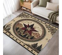 Générique Étoile du Texas Occidental Tapis Salon Lavable 80x150cm, Tapis Cactus Désert Doux Poil Court Antidérapant pour Chambre Salle à Manger Cuisine Entrée T1r11SD