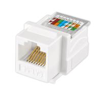 Générique Façade Internet avec Prises murales Multi-Ports RJ45, B | Cavité arrière spacieuse pour une gestion soignée des fils avec prises murales multi-ports RJ45, transmission de