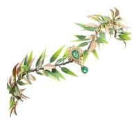 Générique Fairy Headpiece - Green Flower Goddess Tiara | Elegant Renaissance Cosplay Accessory With Floral Details, Perfect For Women And Girls At Festival, Wedding, Halloween Party, Or Photoshoot