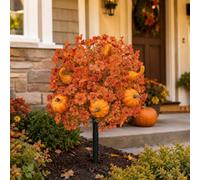 Générique Fall Artificial Flowers for Outdoors with Ground Stakes (B) | UV Resistant Autumn Maple Leaves Topiary Ball Trees, with Eucalyptus Leaves & Pumpkin, For Patios Gardens Patios