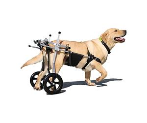 Générique Fauteuil Roulant Réglable pour Chien, Dispositif Dassistance pour Handicap des Pattes Arrière, Promeneur pour Chiens Et Chats De Petite Et Moyenne Taille, Cadre Léger en Aluminium (XX)