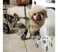 Générique Fauteuil Roulant réglable pour Petits Chiens et Chats - Chariot léger pour Animaux de Compagnie pour Les Quatre Pattes, Support Avant et arrière, Comprend Une Laisse pour Un contrôle Facile