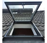 Générique Fenêtre de Toit, puits de lumière et fenêtres de Toit, puits de lumière Manuel avec Verre trempé Double Couche, Porte de sous-Sol pour sous-Sol/Grenier/abri de Jardin (L x l 75 x 7