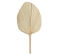 Générique - Feuille Palmier SÉCHÉE ÉVENTAIL 70X33CM Nature