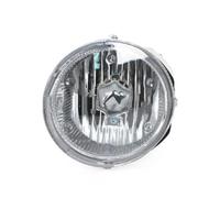 Générique Feux anti-brouillard auto Ensemble Phares Antibrouillard Pour Paladin D22 2004-2015 Cadre Phare Couvercle Conduite Éclairage Voiture Phare Travail LED(Light-1Left)