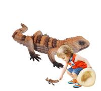 Générique Figurine de lézard simulée, modèles de lézard Réutilisable | Simulé Accessoires d'enseignement précoce pour filles de plus de 3 ans, accessoires scientifiques éducatifs, école à
