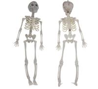 Générique Figurine Squelette | Crâne de modèle Humain de Squelette articulaire Mobile - Figurine Squelette réaliste pour la Maison, Les Bureaux, Les fêtes, Le Jardin.