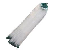 Générique Filet de Pêche Maillant | Filet en Maille Simple Monocouche - de Pêche de Débarquement | Convient pour La Truite, Le Kayak, l'eau Salée, L'Étang, L'Aquarium, La Plage Et Le Bateau