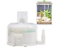 Générique Filtres pour Aquarium - Mini Filtre en Mousse Immergé avec Mousse Et Pierre À Air | Petits Filtres D'oxygénation pour Aquariums, Bassins, Pompe À Air Non Incluse