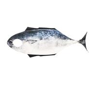 Générique Fish Costume, Realistic Animal Dress Up Suit, Soft Cozy 1 Piece Outfit Eye-Catching Festival & Cosplay Design for Adult Halloween, Masquerade, Role Play, Party, Celebration, Event Use