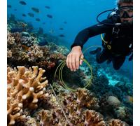 Générique Fish Stringer Résistant | à Libération Rapide - Support de Pêche Renforcé 1.pour Pêcheurs | pour Bateau Kayak Pêche en Mer Eau Douce Chasse sous-Marine