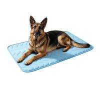 Générique Fits Dogs and Cats: This Ice Silk Dog Cat Pad is a Versatile Summer for Dogs Cats, Designed as a High Performance Absorb Body Heat with Smooth Pet Ice Silk