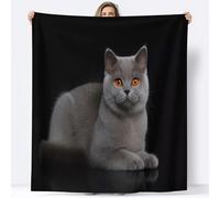 Générique Flanelle Couverture 150 x 200 cm Animaux Chat British Shorthair Couverture Polaire, Noir Jeté de Canapé Chaud et Doux en Peluche Couvertures de Lit pour Canapé Chaise and Camping