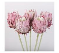 Générique Fleurs Artificielles De Luxe en Soie King Protea for Mariage Et Décoration Intérieure. Grands Bouquets Réalistes De Faux Protea avec Tiges Pliables, Élégance Éternelle.