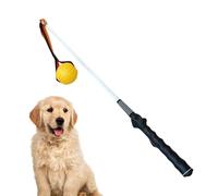Générique Flirt Pole Dogs, Large Teaser Stick, Interactive Tug-of-War Toy, 80x4x4cm, Exercise and Training Tool, for Puppies and Adult Dogs, Lawn Backyard Playtime Fun