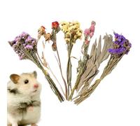 Générique Floral Liberte - Mélange de Foin Naturel, litière Florale de, Accessoires de literie Gerbil, literie Douce Petite avec des Fleurs séchées | Litière Naturelle du pour gerbilles