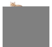 Générique Flower Cat Bowl Multi-Pet Feeder - 6-Way Whisker-Friendly Cat Food & Water Bowls, Shallow Petal Dish for Better Digestion, Anti-Skid Raised Petal Feeder for Kittens & Multiple Cats