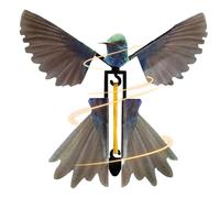 Générique Flying Hummingbird Toy - 12cm Outdoor Plaything | ABS Magic Fairy Flying Bird, Realistic Simulation Garden Decor Gift for Kids Boys and Girls to Improve Hand-Eye Coordination Random Colors