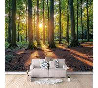 Générique Forêt Papier Peint 200 × 140 cm Paysage De Coucher De Soleil En Forêt Panoramique Papier Peint intissé 3D pour Salon Chambre Moderne Décoration Murale Pour Chambre d'enfants Murale