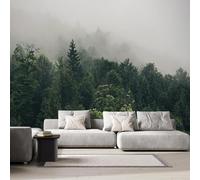 Générique Forêt Papier Peint Panoramique, Brume Rêve Papier peint en intissé, 350x256 cm Tableaux Poster Décoration Murale, Fond Tv Décoration Murale Salon Chambre 7A-28