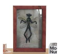 Générique Framed Bat Specimen | 20x14x1.9cm Resin Bat Ghost Specimen Photo Frame | Simple to Apply Picture Frames Mummified Fairy Creepy Mummified Decorate Alien Extraterrestrial Wall Decor for Home