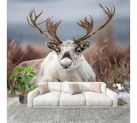 Générique Fresque intissé 250x175cm Renne Des Neiges Animal 3D Impression Haute Définition Papier Peint Décoration Murale Poster De Couleur Claire Murale Moderne Salon Chambre á Coucherr Bureau Salle