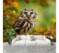 Générique Fresque intissé 350x256cm Chouette Animale 3D Impression Haute Définition Papier Peint Décoration Murale Poster Vert Anti-rides Murale Moderne Salon Chambre á Coucherr Bureau Salle