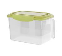 Générique Fridge Storage - 4.5L Fruit Storage Box - 29x18x17.5cm Fresh Keeping Box, Space-Saving For Families Home Cooks Parents Office RV Restaurant Leftover Eggs Pantry Picnic Camping Apartment