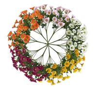 Générique Funsdecor Mums, Artificial Mums for Outdoors, Waterproof Windproof Fake Fall Flower Daisy Never Faded No Watering Pruning Cleanup-Bright & Full Like Real Thing (10PCS)